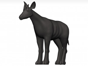 Okapi Model 3D