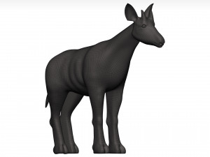 Okapi Model 3D