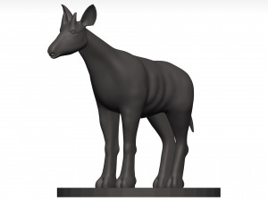 Okapi Model 3D