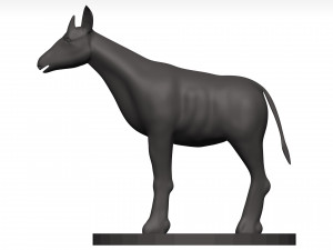 Okapi Model 3D