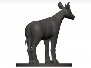 Okapi Model 3D