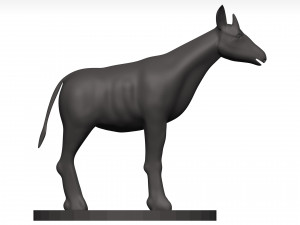 Okapi Model 3D