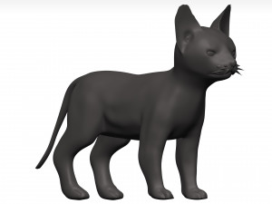 Cat 3D Model