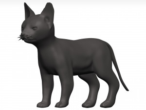 Cat 3D Model