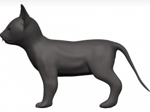 Cat 3D Model