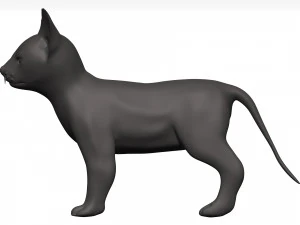 Cat 3D Model