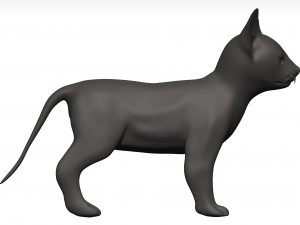 Cat 3D Model
