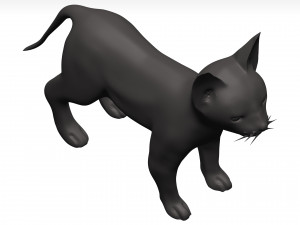 Cat 3D Model