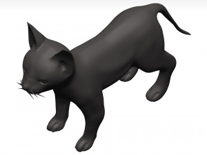 Cat 3D Model