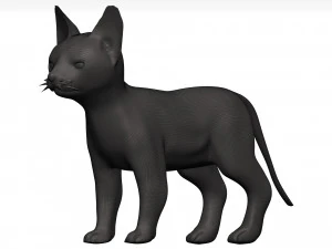 Cat 3D Model