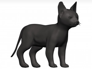 Cat 3D Model