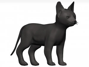 Cat 3D Model