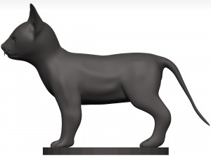 Cat 3D Model