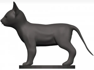 Cat 3D Model