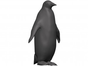 Penguin 3D Model