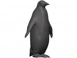 Penguin 3D Model