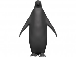 Penguin 3D Model