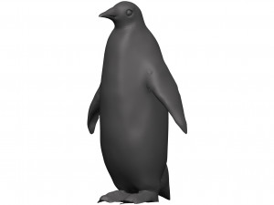 Penguin 3D Model
