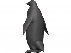 Penguin 3D Model