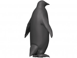 Penguin 3D Model
