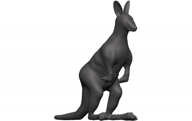 Kangaroo Modèle 3D .c4d .max .obj .3ds .fbx .stl .blend