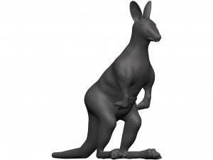 Kangaroo 3D Model