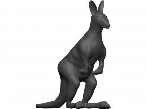 Canguru Modelo 3D