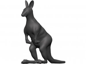 Kangaroo 3D Model