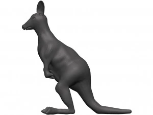 Kangaroo 3D Model