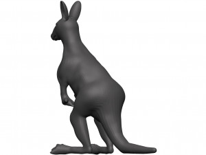 Kangaroo Modèle 3D