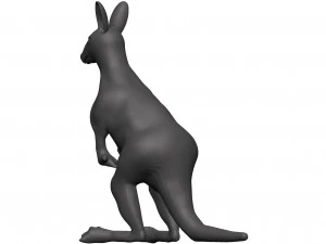 Kangaroo 3D Model