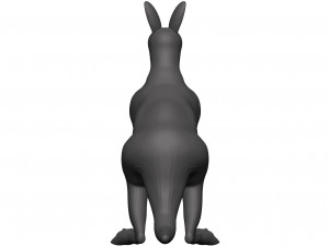 Kangaroo Modèle 3D