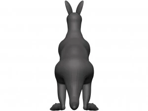 Kangaroo 3D Model