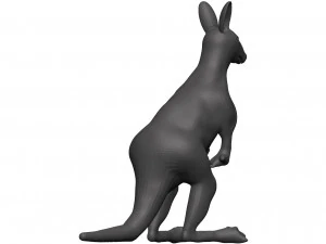 Kangaroo 3D Model