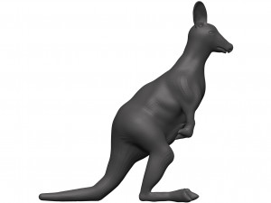 Kangaroo Modèle 3D
