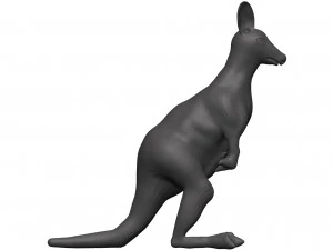 Kangaroo 3D Model