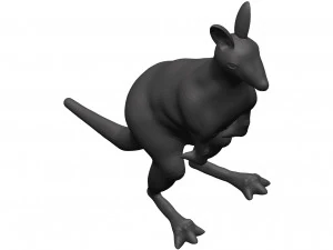 Kangaroo 3D Model