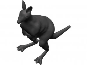 Kangaroo 3D Model
