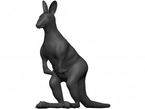 Kangaroo 3D Model
