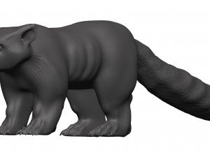 red panda Model 3D
