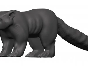 red panda 3D Model
