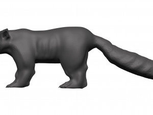 red panda Model 3D