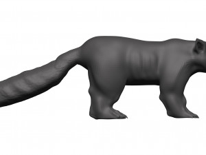 red panda Model 3D
