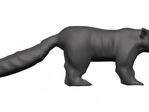 red panda 3D Model