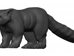 red panda Model 3D