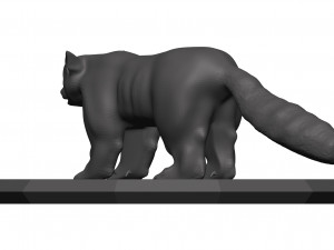 red panda Model 3D