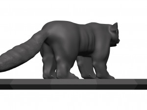 red panda Model 3D