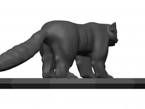 red panda 3D Model