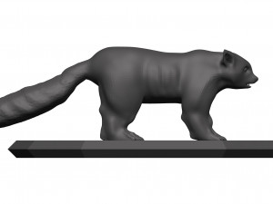red panda Model 3D
