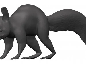 Red squirrel 3D Model